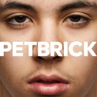 Petbrick - I vinyl cover