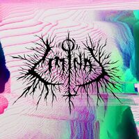 Petbrick - Liminal vinyl cover