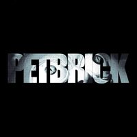Petbrick - Petbrick vinyl cover