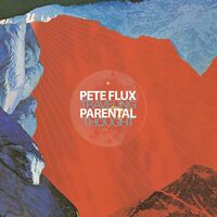 Pete & Parental Flux - Traveling Thought vinyl cover