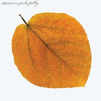 Pete Jolly - Seasons - Amber vinyl cover