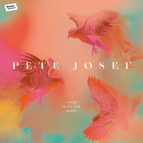Pete Josef - I Rise With The Birds vinyl cover