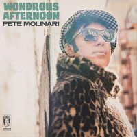 Pete Molinari - Wondrous Afternoon vinyl cover