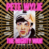 Pete Wylie & the Mighty Wah - Teach Yself Wah! - A Best Of Pete Wylie & The Mighty Wah! vinyl cover