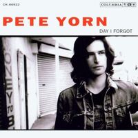Pete Yorn - Day I Forgot vinyl cover