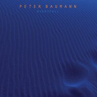 Peter Baumann - Nightfall vinyl cover