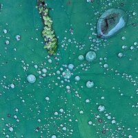 Peter Chilvers - Dust 1 vinyl cover