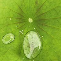 Peter Chilvers - Dust 3 vinyl cover