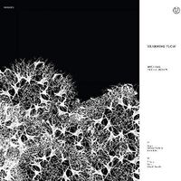 Peter Dicarlo - Onward vinyl cover