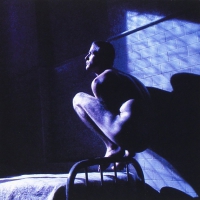 Peter Gabriel - Birdy - Music From The Film vinyl cover