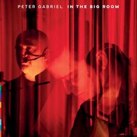 Peter Gabriel - In The Big Room vinyl cover