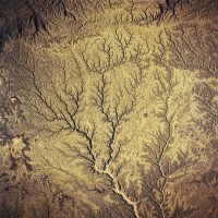 Peter Gabriel - Passion - Sources vinyl cover