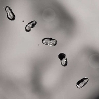 Peter Gabriel - Up vinyl cover