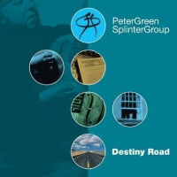 Peter Green - Destiny Road vinyl cover
