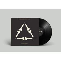 Peter & John Bjorn - Darker Days vinyl cover