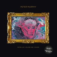 Peter Murphy - Peter Live Volume One Covers vinyl cover