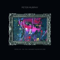 Peter Murphy - Peter Live Volume Two: Blender Theatre NYC 2008 (Silver) vinyl cover