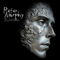 Peter Murphy - Silver Shade (Translucent Blue) vinyl cover