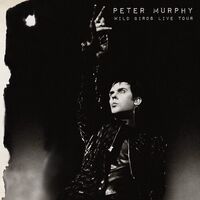 Peter Murphy - Wild Birds Live Tour (Purple & Black)