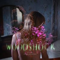 Peter Raeburn - Woodshock Original Soundtrack Album vinyl cover