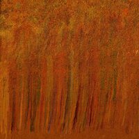 Peter Van Hoesen - Towards The Center Of Time And Surrounded By Spirits vinyl cover