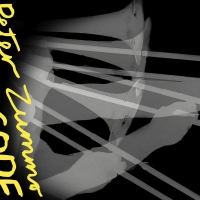 Peter Zummo - Dress Code vinyl cover