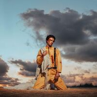 Petit Biscuit - Parachute vinyl cover