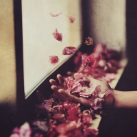 Petre Inspirescu - Vintul Prin Salcii vinyl cover