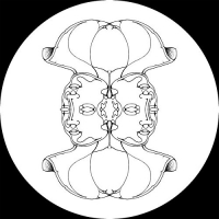 Pfirter - Double Existence vinyl cover