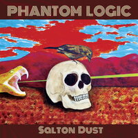 Phantom Logic - Salton Dust vinyl cover