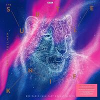 Philip Pullman - His Dark Materials: The Subtle Knife vinyl cover