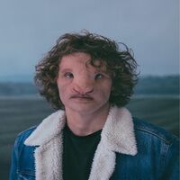 Philippe Brach - Le Silence Des Troupeau vinyl cover