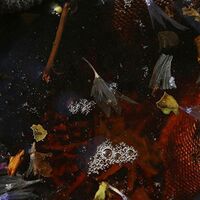 Philippe Petit & Friends - On Top vinyl cover