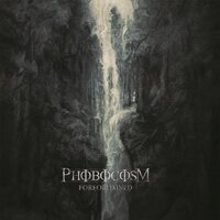 Phobocosm - Foreordained vinyl cover