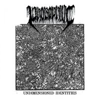 Phobophilic - Undimensioned Identities vinyl cover