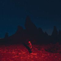 Phoebe Bridgers - Punisher vinyl cover