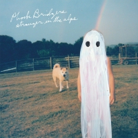 Phoebe Bridgers - Stranger In The A vinyl cover