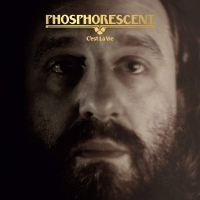 Phosphorescent - C'est La Vie vinyl cover