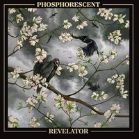 Phosphorescent - Revelator vinyl cover