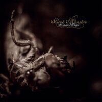 Piano Magic - Part Monster vinyl cover