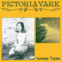 Pictoria Vark - Nothing Sticks vinyl cover