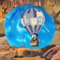 Pictures Of Vernon - Bug vinyl cover