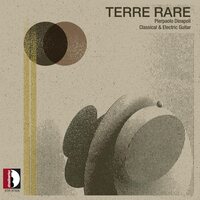 Pierpaolo Dinapoli - Matteo Tundo: Terre Rare - Pierpaolo Dinapoli Classical & Electric Guitar vinyl cover