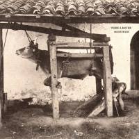 Pierre Bastien - Musique Grecque vinyl cover