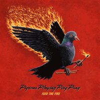 Pigeons Playing Ping Pong - Feed the Fire vinyl cover