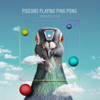 Pigeons Playing Ping Pong - Perspective