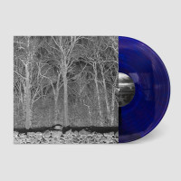 Pile - Sunshine & Balance Beams (Purple) vinyl cover