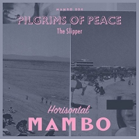 Pilgrims Of Peace - Slipper vinyl cover