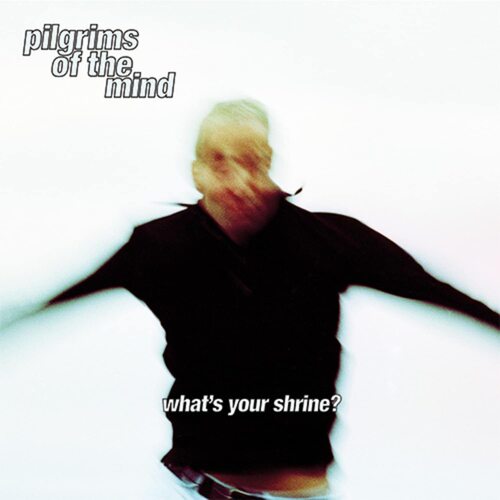 Pilgrims Of The Mind - What's Your Shrine? vinyl cover
