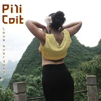 Pili Coït - Love Everywhere vinyl cover